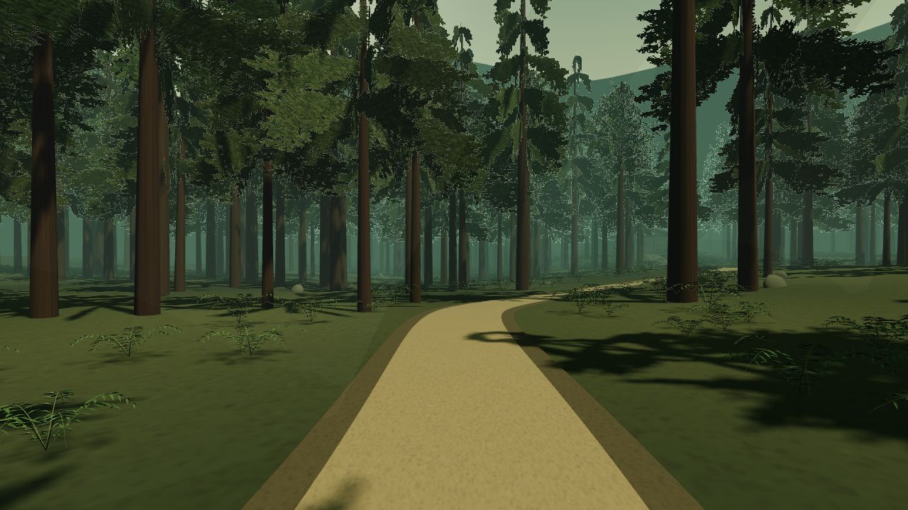 A winding trail through a deep pine forest with light falling through the canopy
